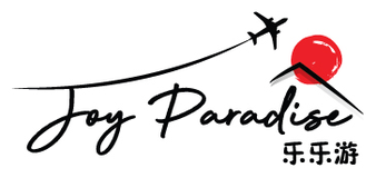 Joy Paradise